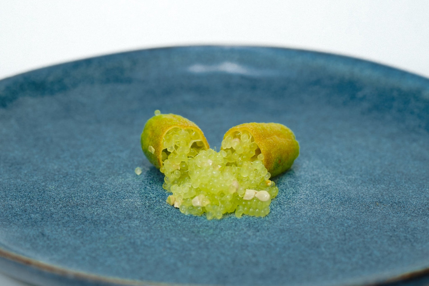 Finger Lime Variety - Yellow