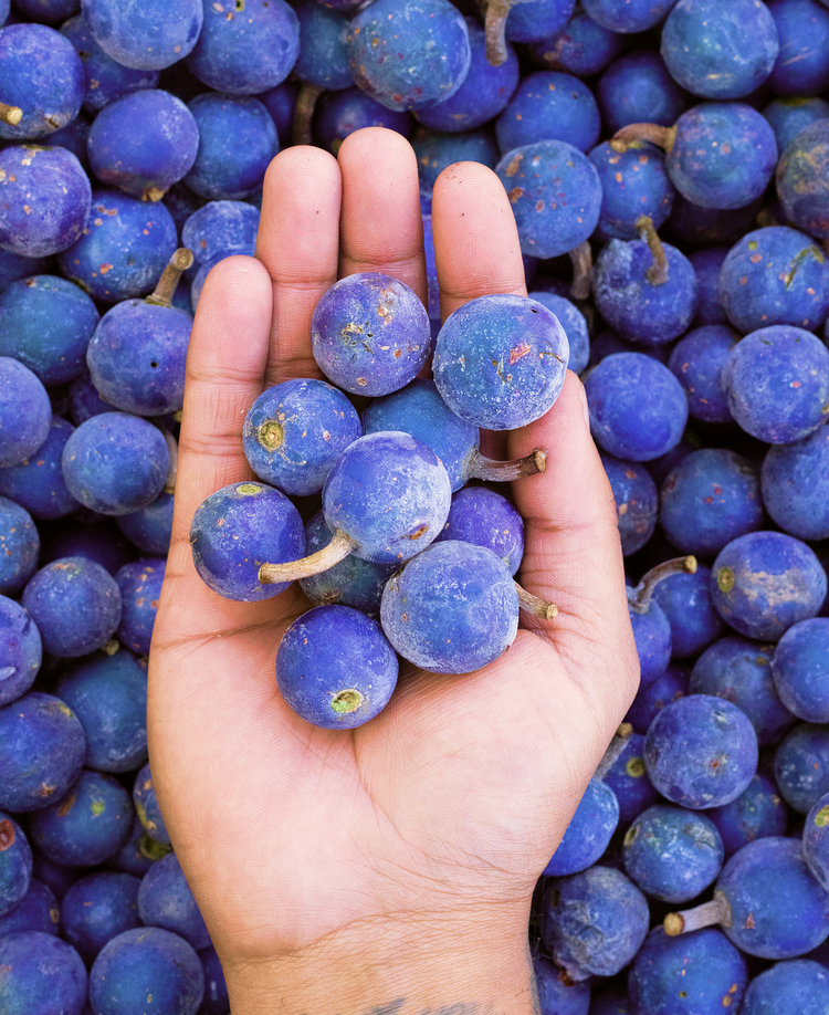 How It Works how-it-works