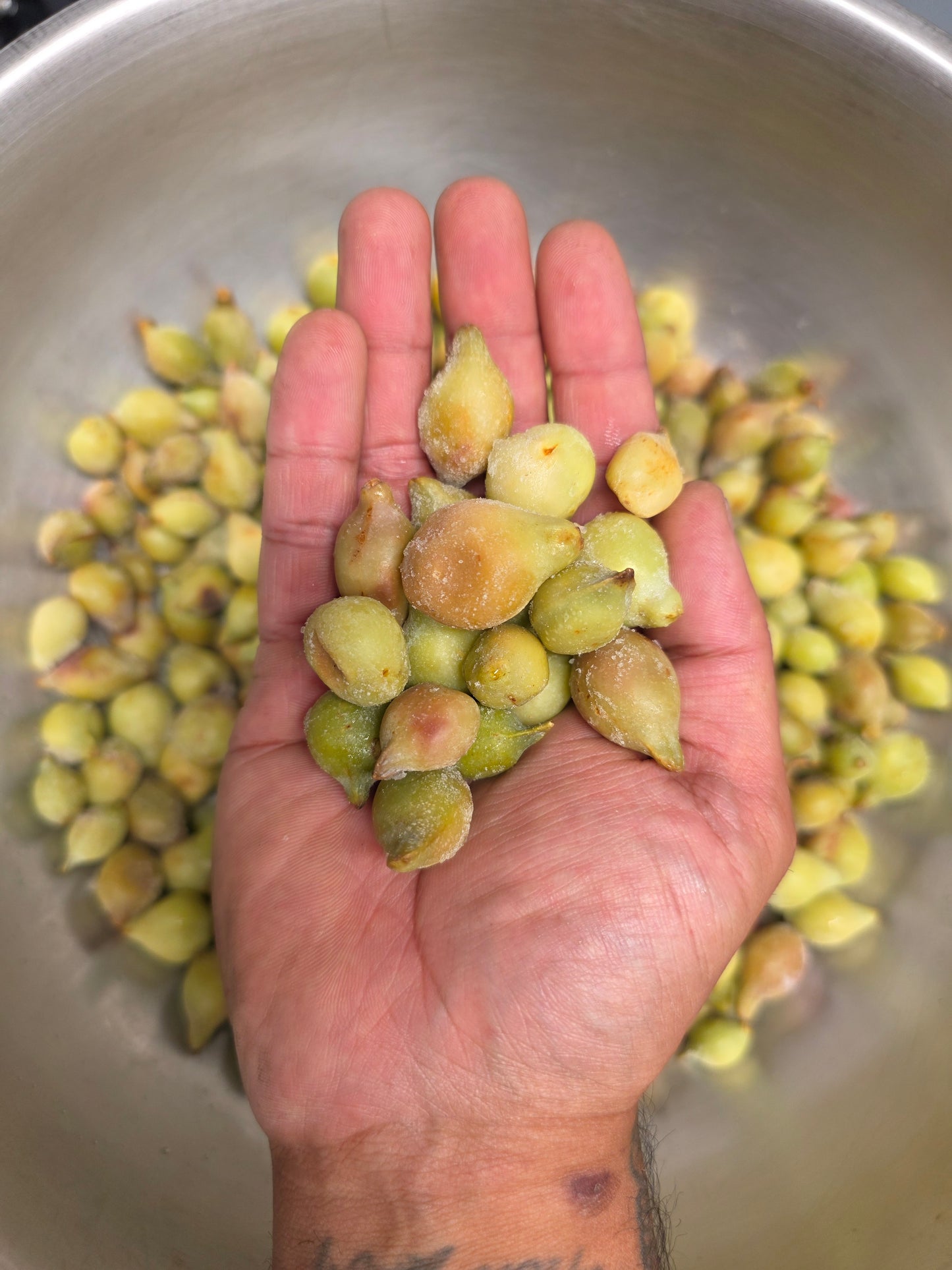 Kakadu Plum